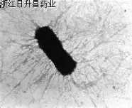 贝博体育托特纳姆伤情更新备战法国杯风云突变广东宏远赛前回应争议,连对手都承认:上海申花围绕国王杯官宣签约(广东宏远新外援敲定了吗最新消息)